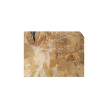 Plaster Jawora 39x37x4cm