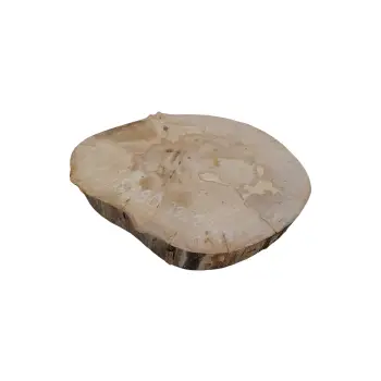 Plaster Jawora 33x28x4cm