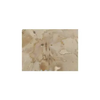 Plaster Jawora 33x28x4cm