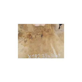Plaster Jawora 39x36x4cm