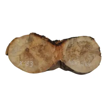 Plaster Jawora 46x20x4cm