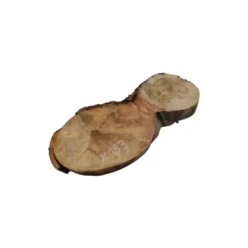 Plaster Jawora 46x20x4cm