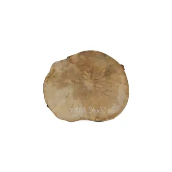 Plaster Jawora 34x30x4cm