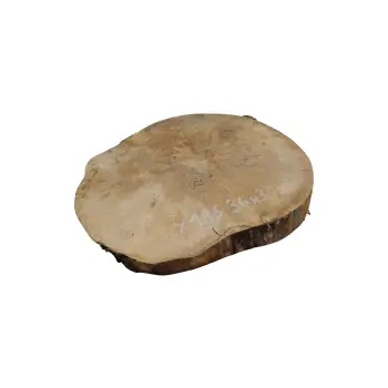 Plaster Jawora 34x30x4cm