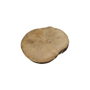Plaster Jawora 35x30x4cm