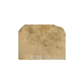 Plaster Jawora 35x30x4cm