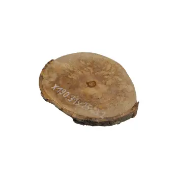 Plaster Jawora 31x25x3cm