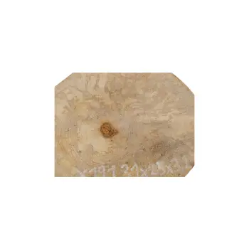 Plaster Jawora 31x25x3cm