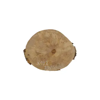Plaster Jawora 29x25x3cm
