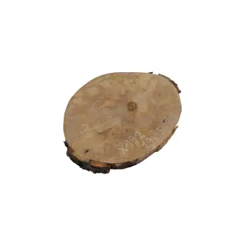 Plaster Jawora 29x25x3cm