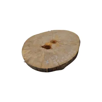 Plaster Jawora 31x25x3cm
