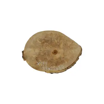 Plaster Jawora 33x25x3cm