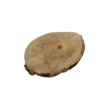 Plaster Jawora 33x25x3cm