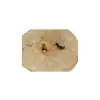 Plaster Jawora 33x25x3cm