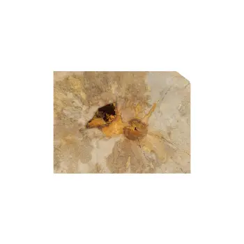 Plaster Jawora 31x25x3cm