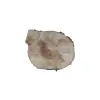 Plaster Jawora 38x33x5cm