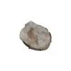 Plaster Jawora 38x33x5cm