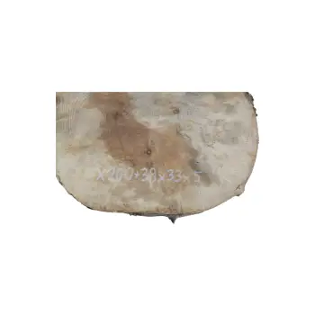 Plaster Jawora 38x33x5cm