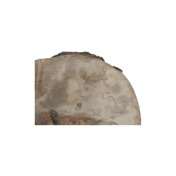 Plaster Jawora 38x33x5cm