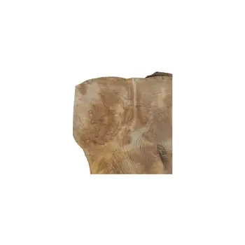 Plaster Jawora 38x33x5cm