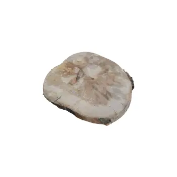 Plaster Jawora 36x34x5cm