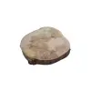 Plaster Jawora 35x36x5cm