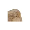 Plaster Jawora 35x36x5cm