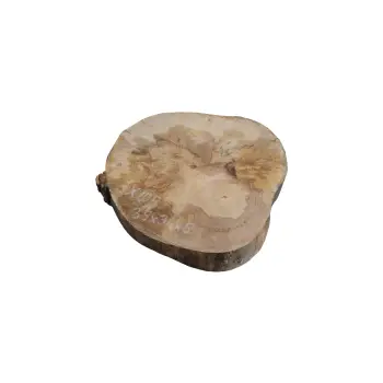 Plaster Jawora 35x36x5cm