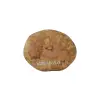 Plaster Jawora 42x34x6cm