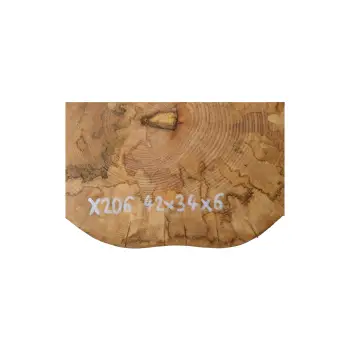 Plaster Jawora 42x34x6cm