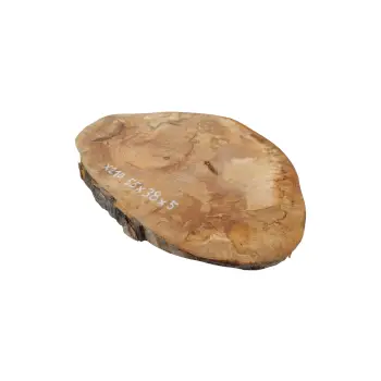 Plaster Jawora 55x38x5cm