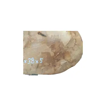 Plaster Jawora 55x38x5cm