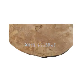 Plaster Jawora 45x37x5cm