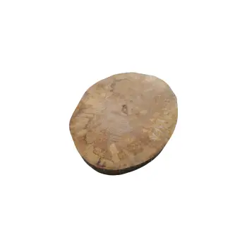 Plaster Jawora 44x36x5cm