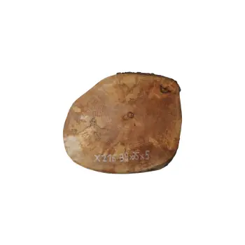 Plaster Jawora 39x35x5cm