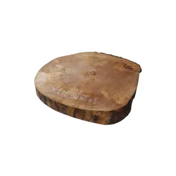 Plaster Jawora 39x35x5cm