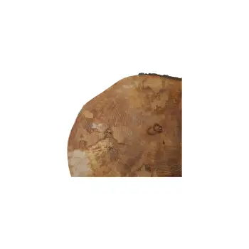Plaster Jawora 39x35x5cm