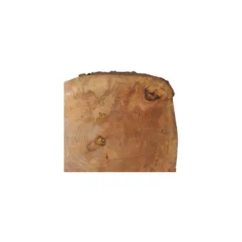 Plaster Jawora 39x35x5cm