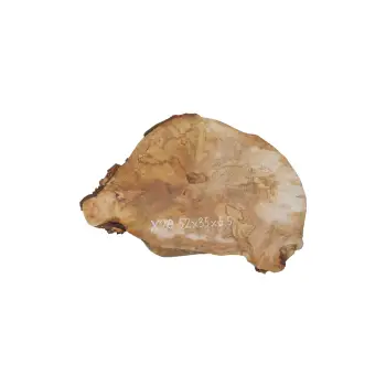 Plaster Jawora 52x35x5,5cm