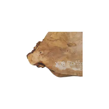 Plaster Jawora 52x35x5,5cm