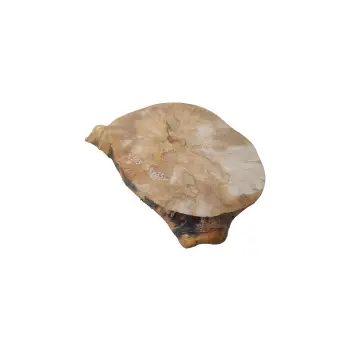 Plaster Jawora 44x35x5cm