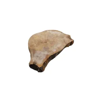 Plaster Jawora 51x35x5cm