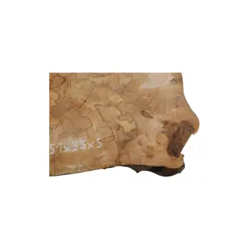 Plaster Jawora 51x35x5cm