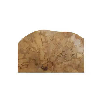 Plaster Jawora 51x35x5cm