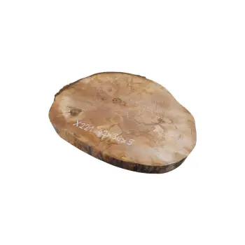 Plaster Jawora 42x36x5cm