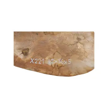 Plaster Jawora 42x36x5cm