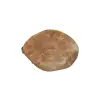Plaster Jawora 43x34x5cm