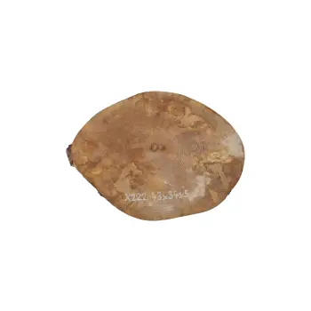 Plaster Jawora 43x34x5cm