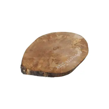 Plaster Jawora 43x34x5cm