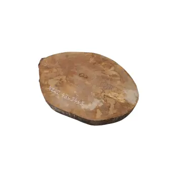 Plaster Jawora 43x34x5cm